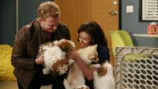 Анатомия страсти 12 сезон 14 серия