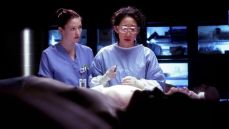 Анатомия страсти 4 сезон 14 серия